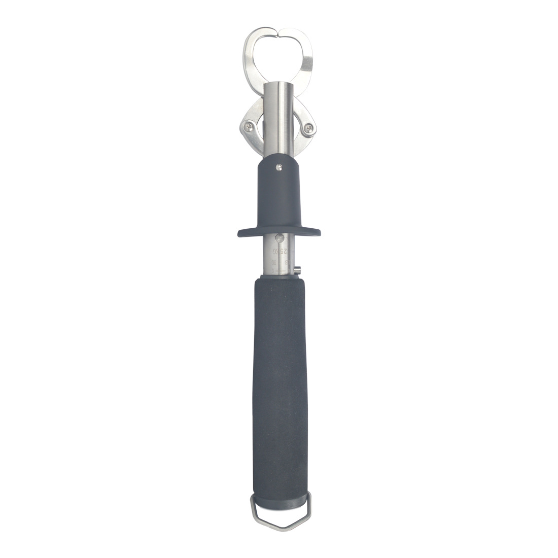 Nieuwe 25kg weegschaal vislipg - Fishing recensie en prijs